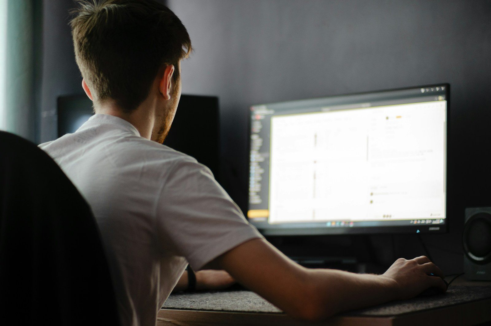 persona di spalle al pc